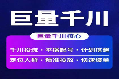 专业SEM服务公司案例分析报告